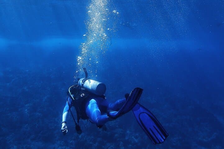 Discover Scuba Diving in Roatan — Private Upachaya Intro Dive with Transfer photo 3