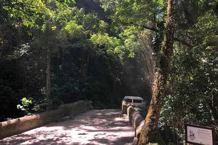 3-Hour Private Royal Highlight Tour in St Kitts — Basseterre, Wingfield & Timothy Hill photo 3