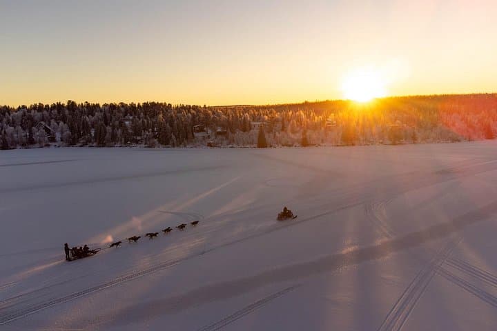 Sunrise Zen Husky Tour in Kiruna — Sit-on-Sled Huskies & Puppy Meet photo 2