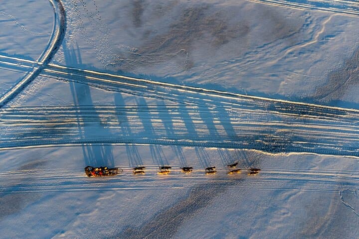 Sunrise Zen Husky Tour in Kiruna — Sit-on-Sled Huskies & Puppy Meet photo 3