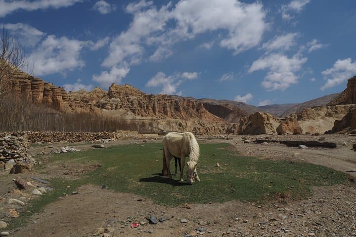 Upper Mustang Trek: Lo-Manthang and the Forbidden Kingdom of Mustang photo 5