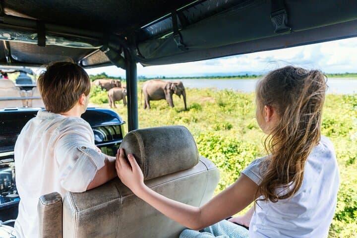 Udawalawe Safari Day Trip from Galle — Jeep Wildlife Tour to See Elephants photo 2