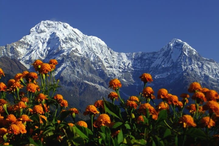 5-Day Annapurna Base Camp Trek — Short ABC Trek from Pokhara photo 2