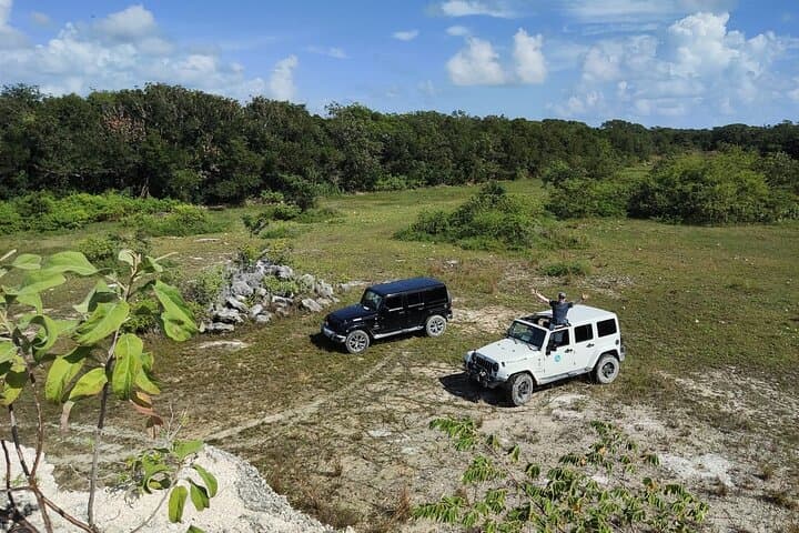 Cozumel Cave and Mayan Ruin Exploration with Oceanfront Mexican Lunch photo 2