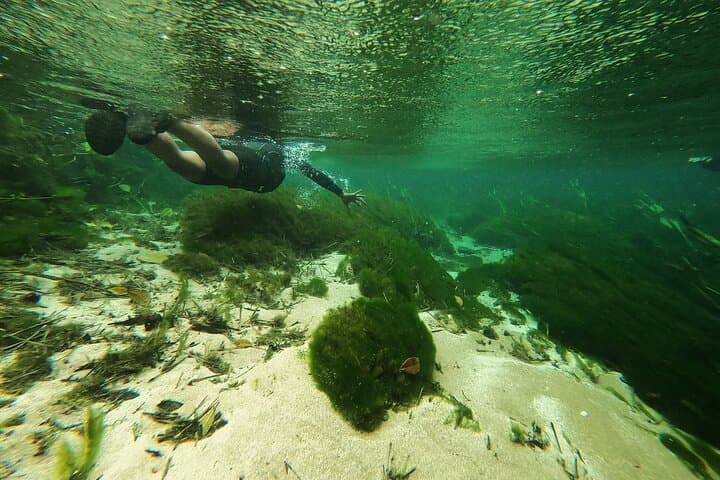 Floating the Sucuri River: Snorkel Brazil’s Crystal-Clear Springs photo 2