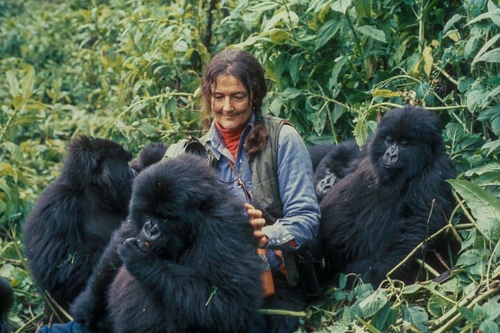 13-Day Uganda Wildlife Safari: Gorillas, Chimps & Murchison Falls photo 2