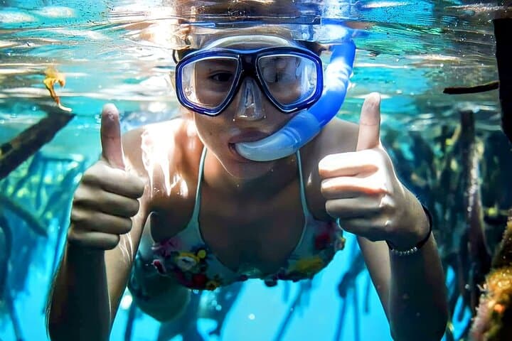 Snorkel with Akumal Turtles & Swim Underground Cenotes — Day Tour from Playa del Carmen photo 4