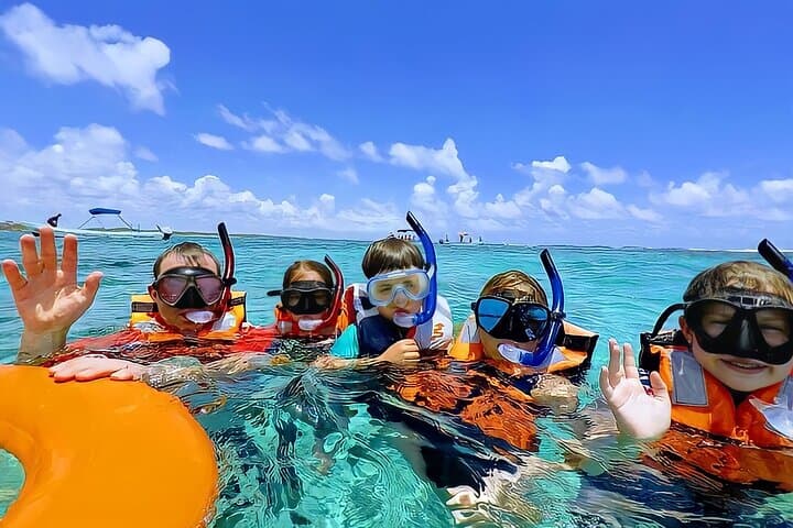 Snorkel with Akumal Turtles & Swim Underground Cenotes — Day Tour from Playa del Carmen photo 5