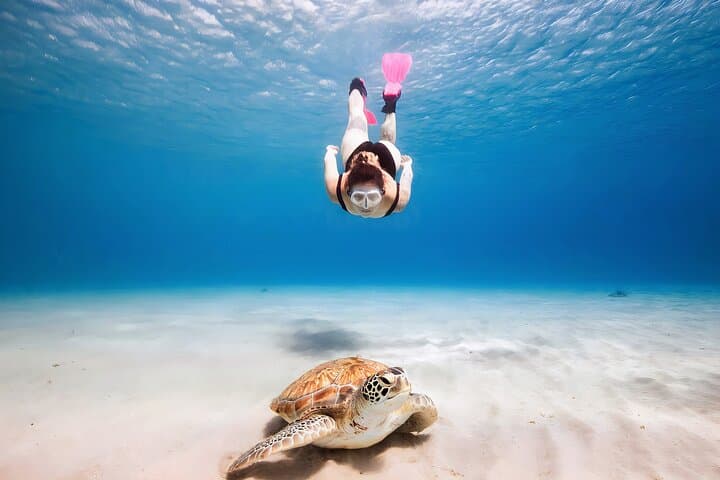 Snorkel with Akumal Turtles & Swim Underground Cenotes — Day Tour from Playa del Carmen