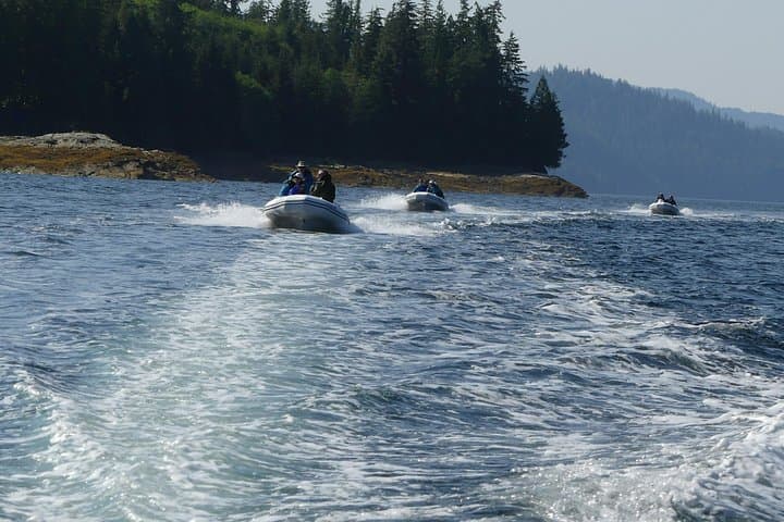 Wilderness Zodiac Quest: Zodiac Boat Tour to George Inlet Fjords from Ketchikan photo 4