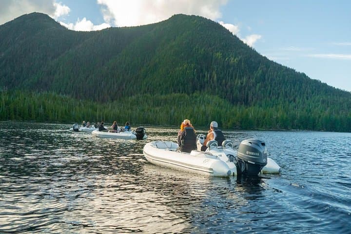 Wilderness Zodiac Quest: Zodiac Boat Tour to George Inlet Fjords from Ketchikan photo 2