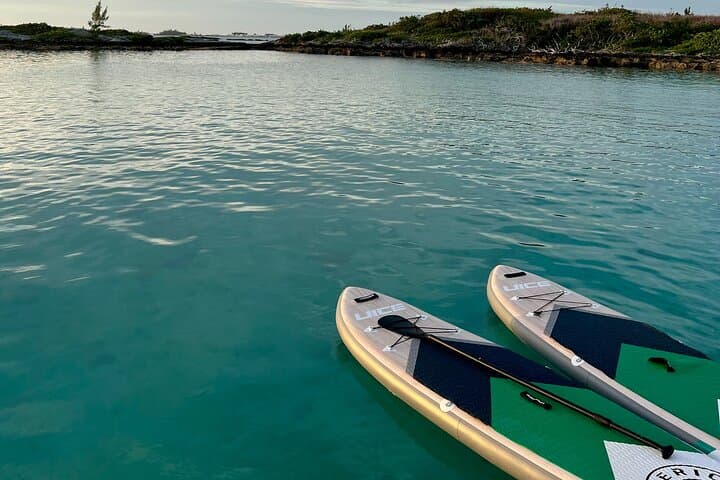 Sail Bermuda: Private Catamaran Snorkeling, Shipwrecks & Cliff Jumping photo 4
