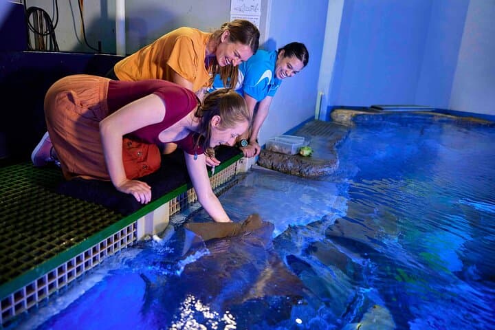 Cairns Aquarium Marine Life Encounter — VIP Behind-the-Scenes & Ray Feeding photo 6