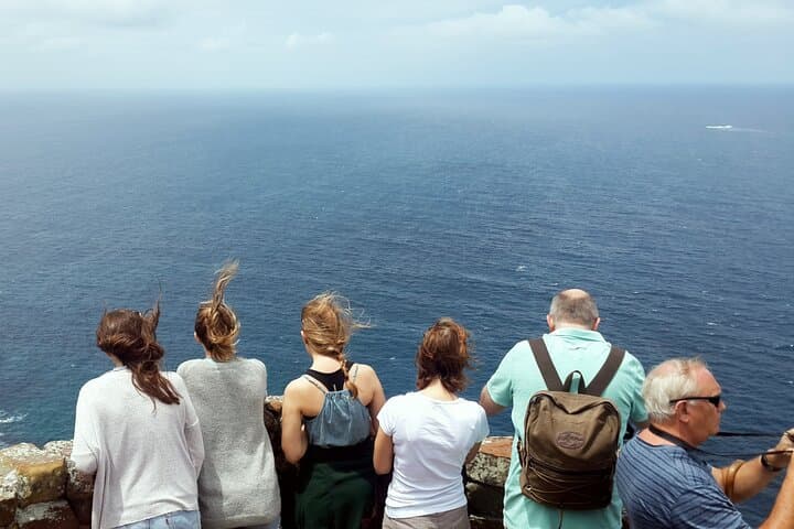 cape-point-penguins-private-cape-peninsula-day-tour