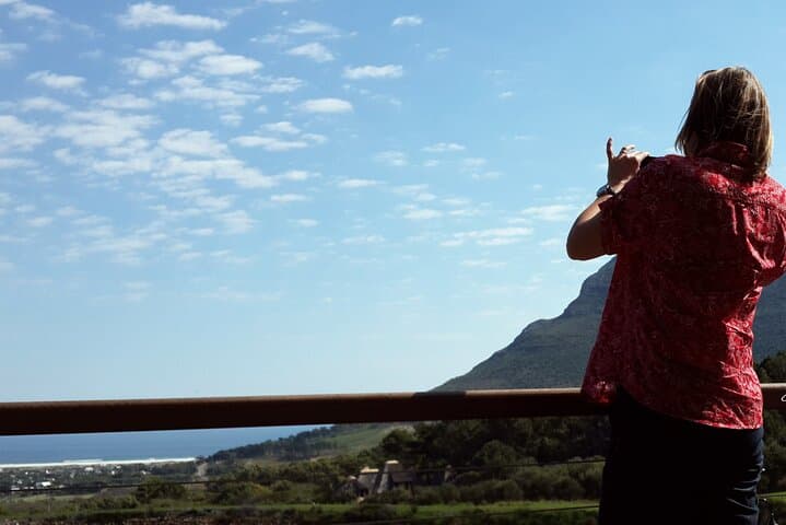 cape-point-penguins-private-cape-peninsula-day-tour photo 3