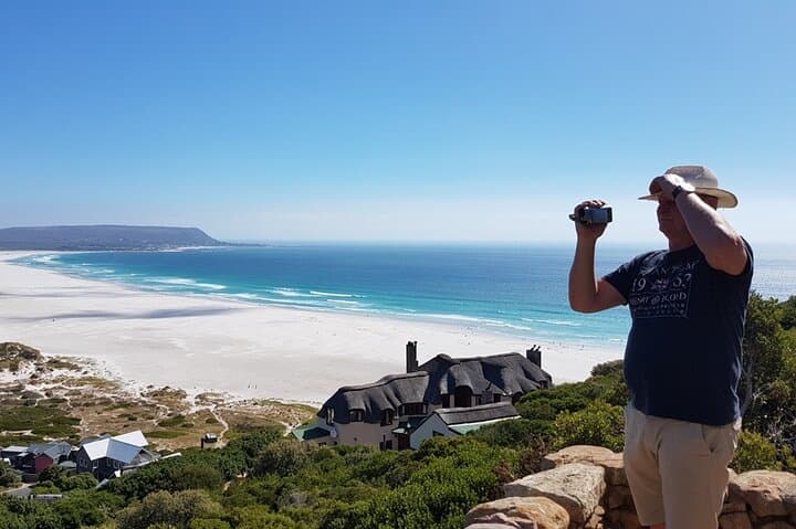 cape-point-penguins-private-cape-peninsula-day-tour photo 4