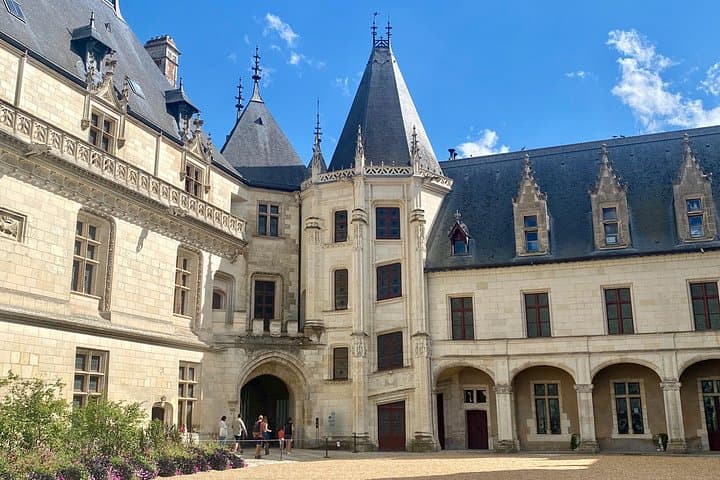 Full-Day Private Loire Valley Castles: Chenonceau, Chaumont & Blois from Paris photo 3