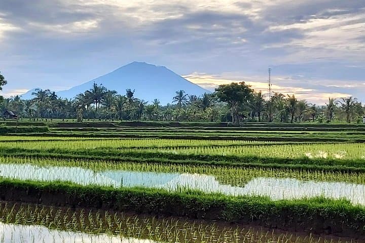 North Bali Private Day Tour: Ulun Danu, Banyumala & Jatiluwih Rice Terraces photo 2