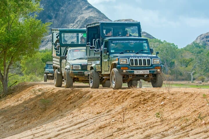 Wilpattu National Park Day Safari from Colombo — Leopard & Elephant Wildlife Tour photo 1