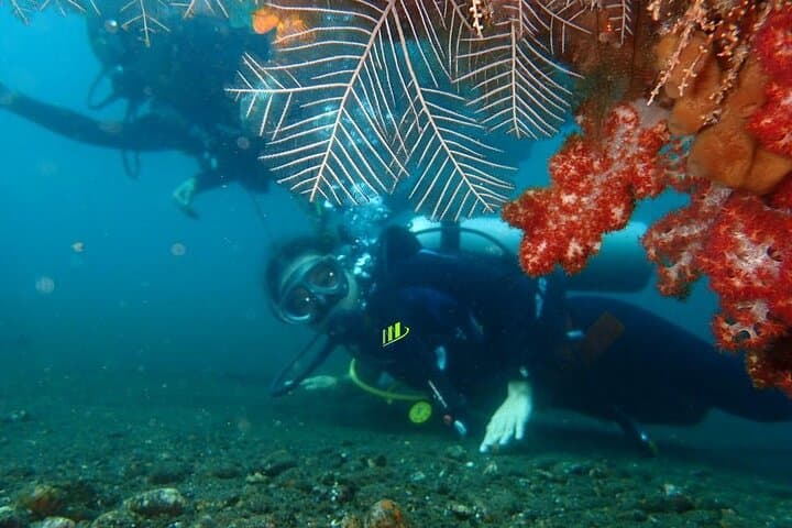 Tulamben Private 8-Hour Guided Dive: Liberty Wreck & Coral Gardens