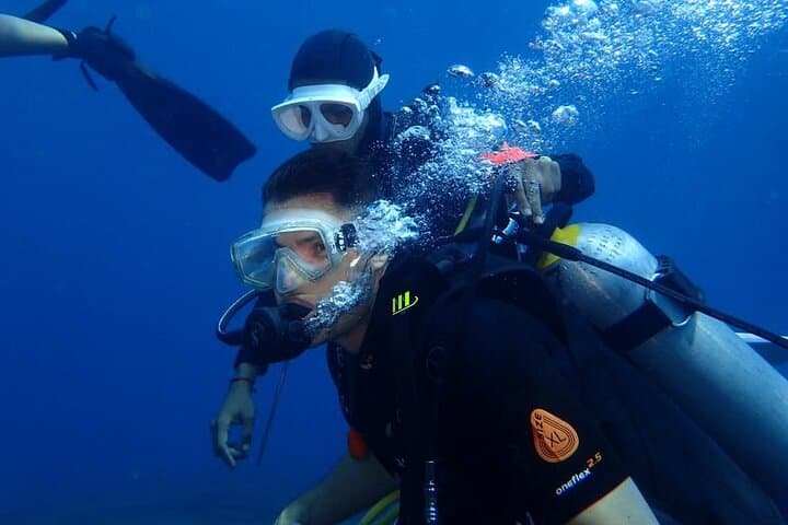 Tulamben Private 8-Hour Guided Dive: Liberty Wreck & Coral Gardens photo 2