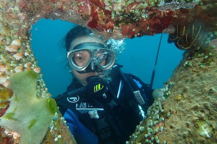 Tulamben Private 8-Hour Guided Dive: Liberty Wreck & Coral Gardens photo 5