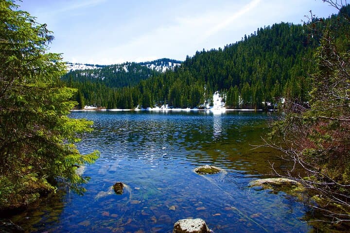 Explore Olympic National Park: Self-Guided Driving Audio Tour of Rainforest, Coast & Mountains photo 6