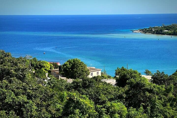 Climb Dunn's River Falls: A Guided Day Trip from Montego Bay photo 5