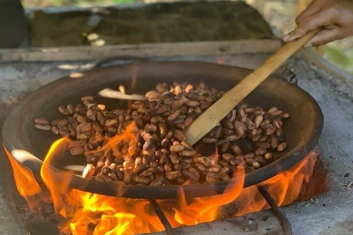 Slow Travel Quito to Cuyabeno Amazon: 5-Day Tucan Ecolodge Rainforest Journey photo 2