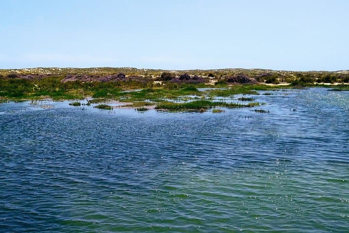 Slow-Travel Ria Formosa: 5.5-Hour Private Boat Tour from Olhão photo 3