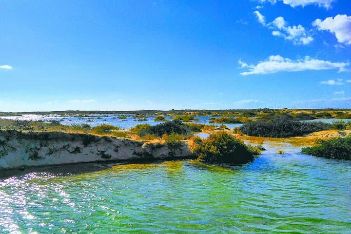 Slow-Travel Ria Formosa: 5.5-Hour Private Boat Tour from Olhão photo 4