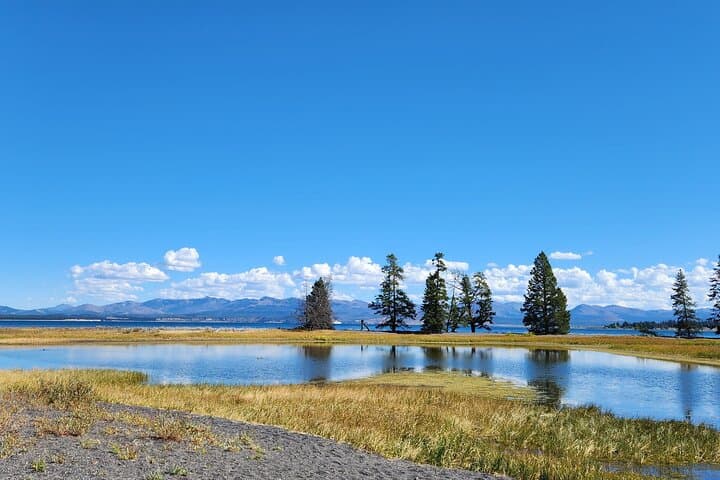 Yellowstone Wildlife Tour: Tracking Grizzlies and Wolves in America’s Last Wild Frontier photo 3