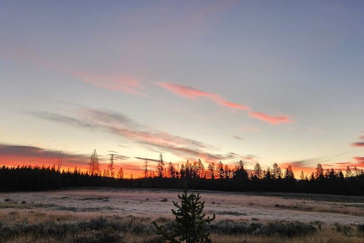 Yellowstone Wildlife Tour: Tracking Grizzlies and Wolves in America’s Last Wild Frontier photo 6