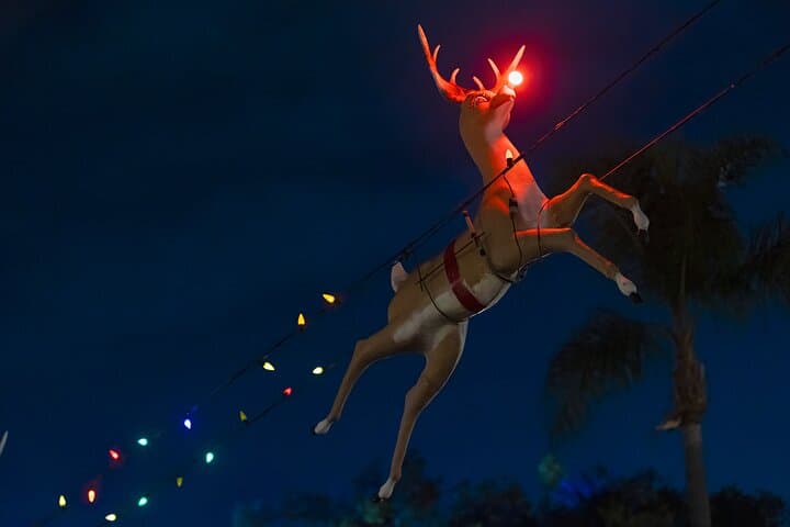 Experience Boston’s Holiday Magic: A Festive Night Trolley Tour photo 4
