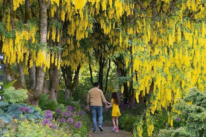 VanDusen Botanical Garden Admission — Vancouver’s 55-Acre Plant Collection, What to See & Visitor Tips photo 3
