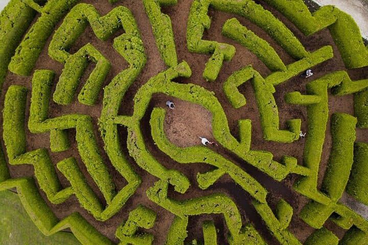 VanDusen Botanical Garden Admission — Vancouver’s 55-Acre Plant Collection, What to See & Visitor Tips