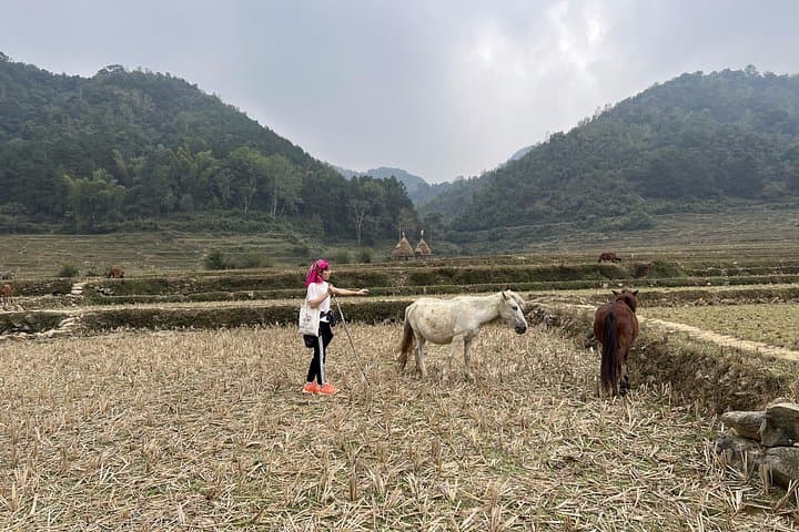 Ban Gioc Waterfall & Khuoi Ki Village: 2-Day Easy Trek in Cao Bang Geopark photo 3