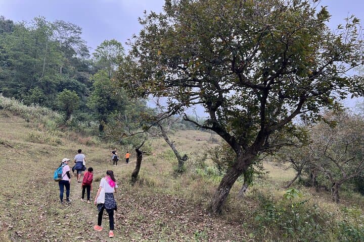 Ban Gioc Waterfall & Khuoi Ki Village: 2-Day Easy Trek in Cao Bang Geopark