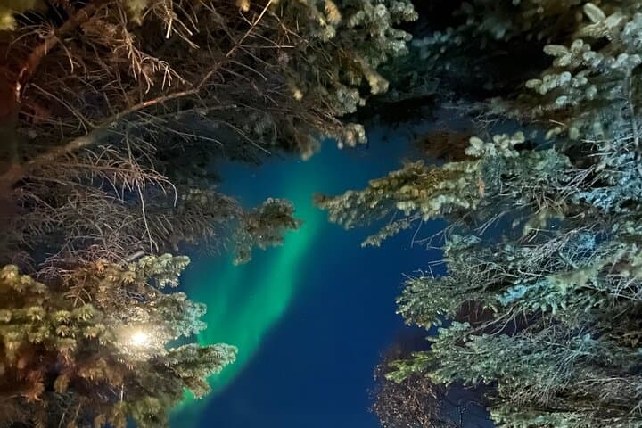 Private Northern Lights Hunt from Reykjavik: How to Maximize Your Aurora Viewing photo 5