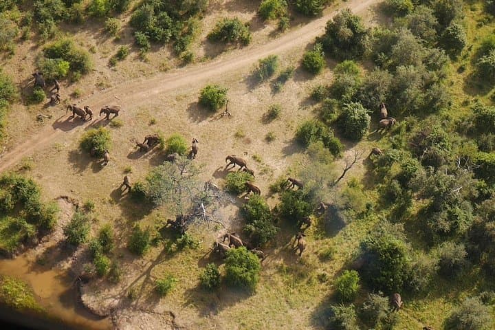 Victoria Falls Helicopter Scenic Flight over the Zambezi and Batoka Gorge photo 2
