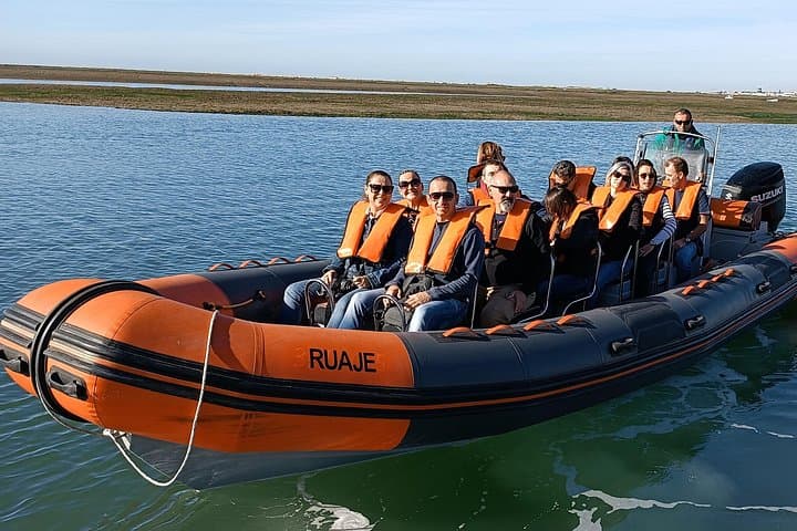 Dolphin Watching and Ilha Deserta + Ilha do Farol Day Tour from Faro