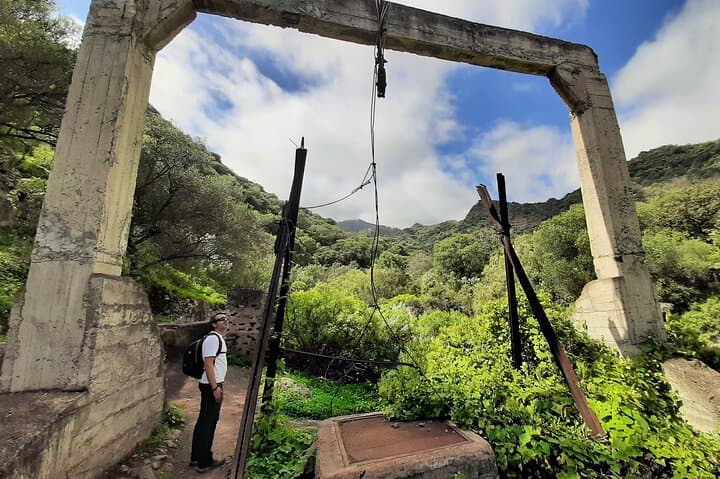 Barranco de los Cernícalos: Waterfalls & Rainforest Hike with Local Guides in Gran Canaria photo 3