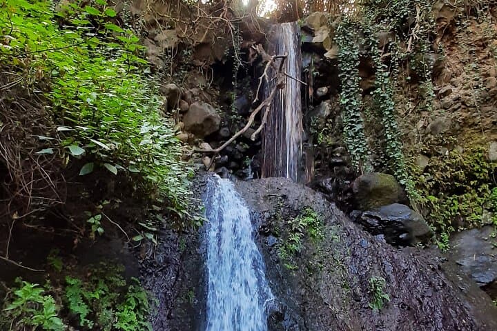 Barranco de los Cernícalos: Waterfalls & Rainforest Hike with Local Guides in Gran Canaria photo 6