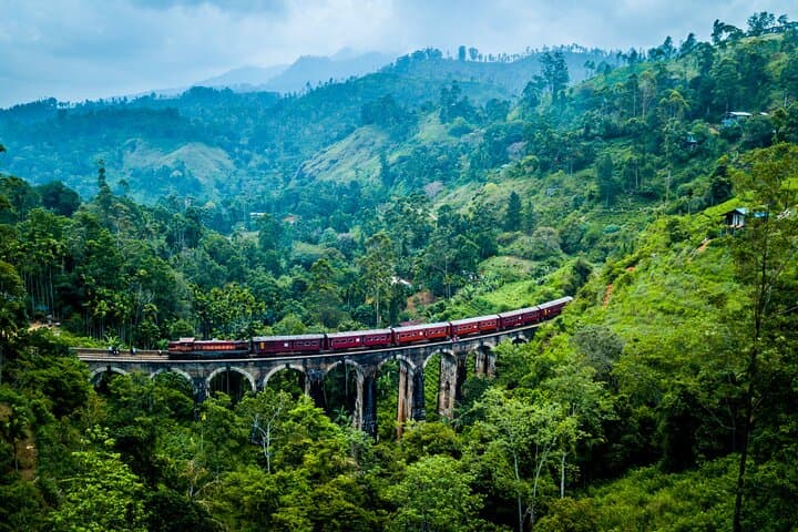 Simply Sri Lanka: 8-Night Cultural and Wildlife Road Trip from Negombo