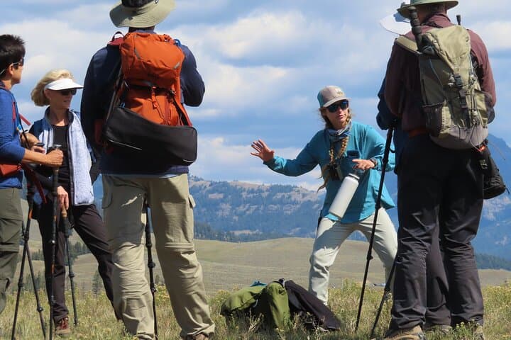 Inside Yellowstone’s Lamar Valley: A Guided Safari Hiking Adventure