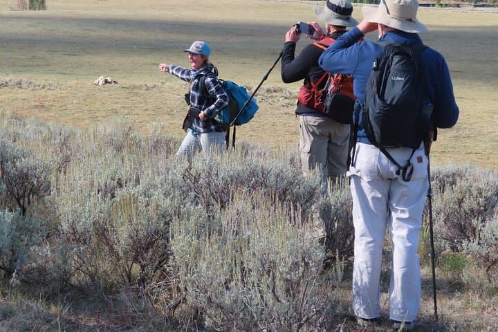 Inside Yellowstone’s Lamar Valley: A Guided Safari Hiking Adventure photo 6