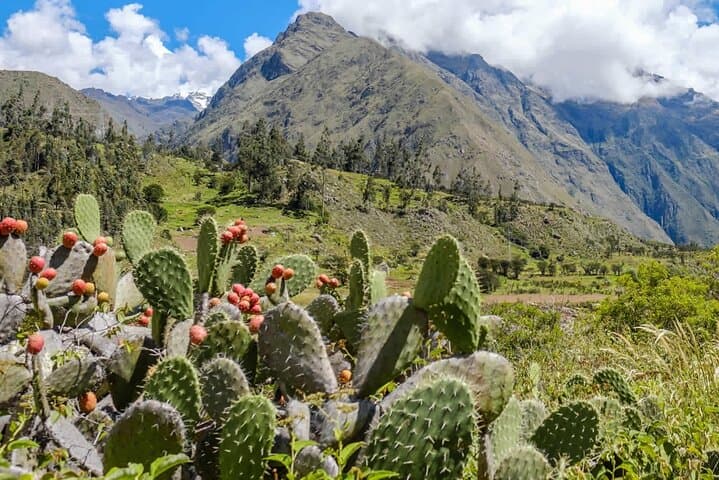 4-Day Inca Trail Trek to Machu Picchu — Classic Km 82 Route photo 6