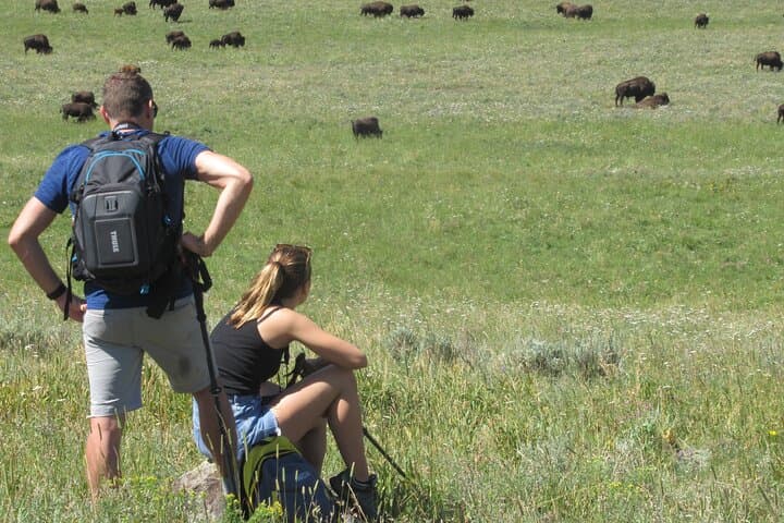 Inside Yellowstone’s Lamar Valley: A Guided Safari Hiking Adventure photo 2