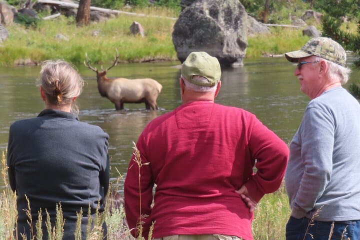 Upper Loop Wildlife Van Tour: Lamar Valley, Mount Washburn & Mammoth Hot Springs