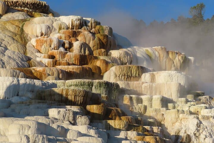 Upper Loop Wildlife Van Tour: Lamar Valley, Mount Washburn & Mammoth Hot Springs photo 6